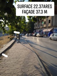 أرض-بيع-المدية-الجزائر