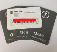 MICROSOFT OFFICE PROFESSIONAL PLUS 2019/2021 CARTE