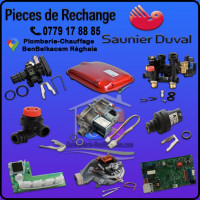 pieces-detachees-de-rechange-saunier-duval-reghaia-alger-algerie