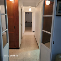 appartement-location-f4-alger-draria-algerie