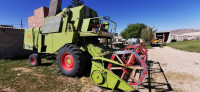 tracteurs-claas-taya-setif-algerie