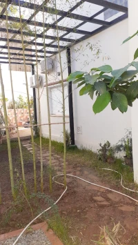 Architecte paysagiste prend études et réalisations de jardin 