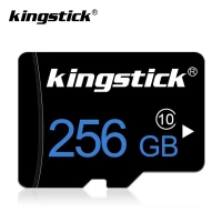 Carte Mémoire Micro SD 250 GB KINGSTICK