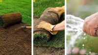 ديكورات-و-ترتيب-decoration-jardin-بوفاريك-البليدة-الجزائر