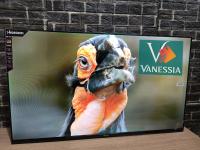 أجهزة-التلفاز-television-43p-smart-android-marque-koscom-بئر-خادم-الجزائر