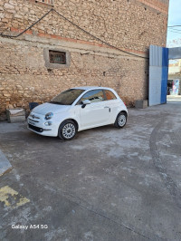 voitures-fiat-500-2024-sidi-bel-abbes-algerie