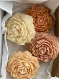 Peony flowers 67g