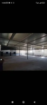 Location Hangar Alger Rouiba