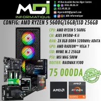 CONFIG GAMING : AMD RYZEN 5 5600G/16GB/SSD 256GB