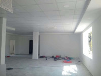 construction-works-travaux-de-revetementsol-mur-et-plafond-baraki-alger-algeria