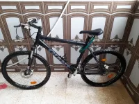 VELO GEANT