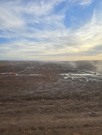 Vente Terrain Agricole Djelfa Ain oussara thumbnail 4