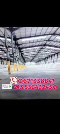 Location Hangar Alger Alger centre