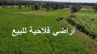 أرض-فلاحية-بيع-الجلفة-عين-وسارة-الجزائر