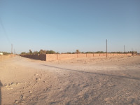 terrain-agricole-vente-adrar-algerie