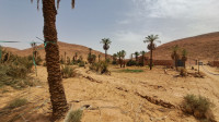 terrain-vente-ghardaia-el-atteuf-algerie