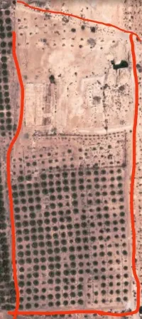 Vente Terrain Agricole Biskra El hadjeb