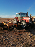 tracteurs-massey-ferguson-2680-135-cv-1981-tebessa-algerie