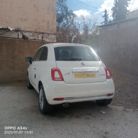 voitures-fiat-500-2024-dolcevita-tlemcen-algerie