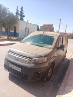 voitures-fiat-professional-doblo-2023-italia-djelfa-algerie