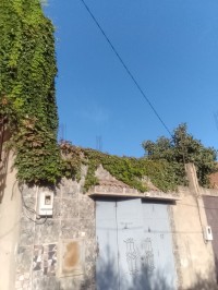 villa-vente-chlef-algerie