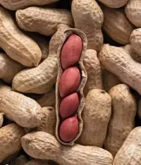 Arachides en Coques ( فول سوداني بالقشور )