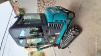 Mini pelle Mini pelle 2022