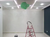 peintre peinture صباغ دهان