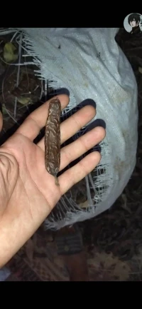 خروب للبيع 
