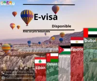 VISA EGYPTE JORDANIE OMAN CUBA INDONÉSIE DUBAI CHINE IRAN ARMENIA CAMBODIA TANZANIE KENYA INDE RUSSI