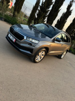 voitures-skoda-karoq-2023-style-toit-ouvrant-said-hamdine-alger-algerie