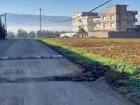 Vente Carcasse Alger Douera