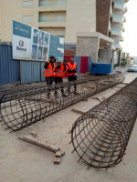 construction-travaux-fourrage-des-pieux-et-micro-alger-centre-algerie