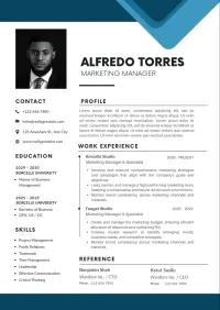 CV professionnels 
