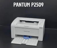 imprimante pantum p2509 