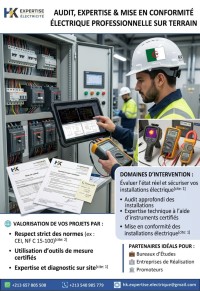 صناعة-و-تصنيع-audit-expertise-et-conformite-electrique-وهران-الجزائر