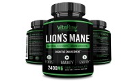 Lion's Mane (Hydne Hérisson) 2400mg