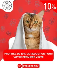 toilettage chien et chat
