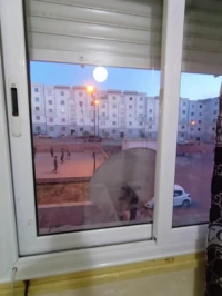 Vente Appartement F3 Aïn Témouchent Beni saf