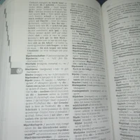 Dictionnaire français-allemand --- allemand-français 