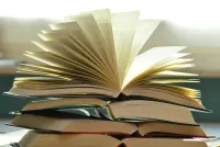 Traduction Arabe/Français/Anglais, correction orthographe, rédaction d'articles a partir de 50DA