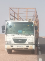 camion-daewoo-340-42-2012-setif-algerie