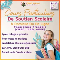 Cours Particuliers De Soutien Scolaire À Domicile Ou En Ligne Programme Français(CNED, LIAD, AEFE)