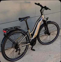 Vélo électrique giant liv2022