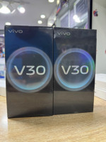 smartphones-vivo-v30-12256gb-chevalley-alger-algerie