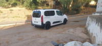 utilitaire-citroen-berlingo-2020-irdjen-tizi-ouzou-algerie