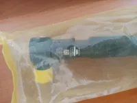 بطيوة وهران 