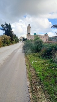 أرض-بيع-بومرداس-زموري-الجزائر