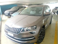 Skoda Karoq 2025 Idition