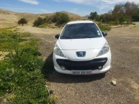 cars-peugeot-207-2009-hachem-mascara-algeria